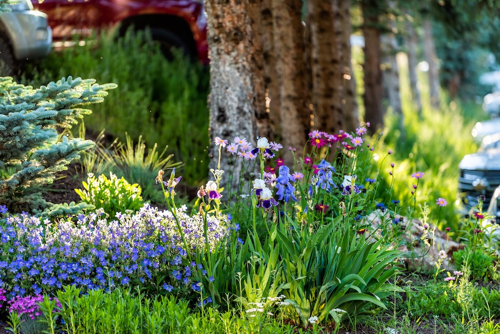 best time to visit snowmass spring